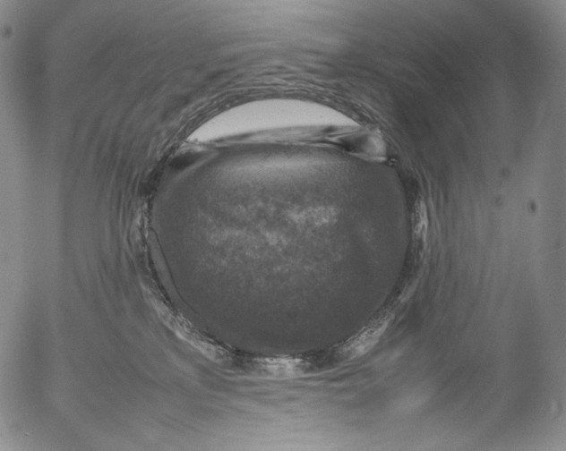 X0000053130233200508012226