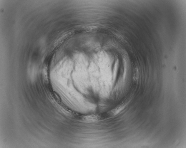 X0000053130238200508012226