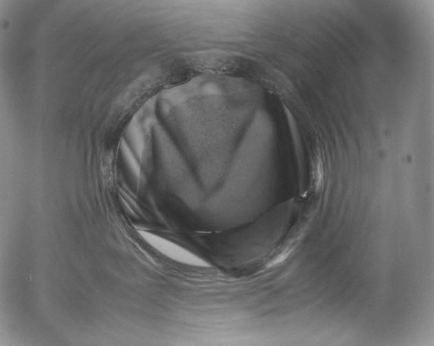 X0000053130239200508012226