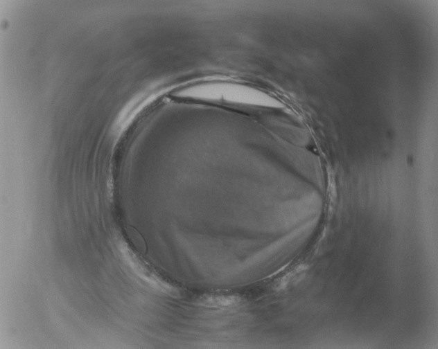 X0000053130247200508012225