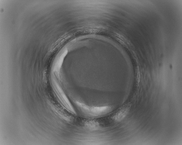 X0000053130258200508012225