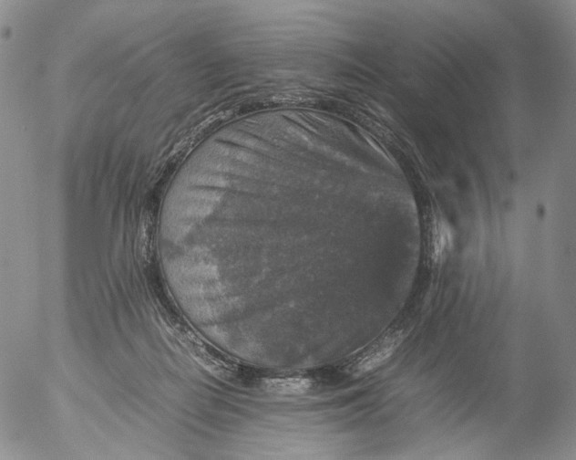 X0000053130266200508012225