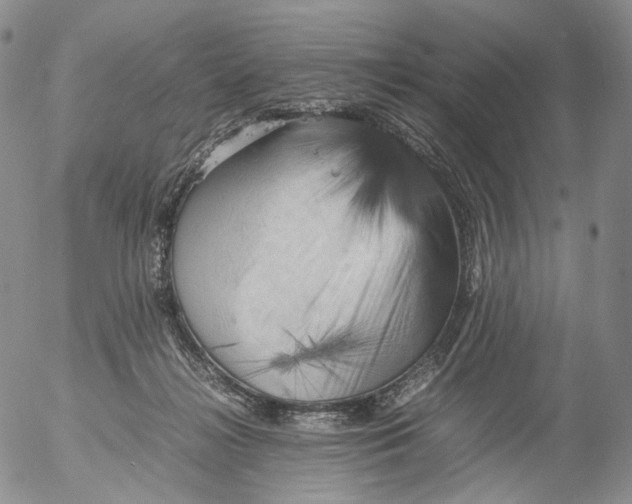 X0000053130268200508012225