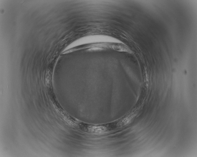 X0000053130277200508012225