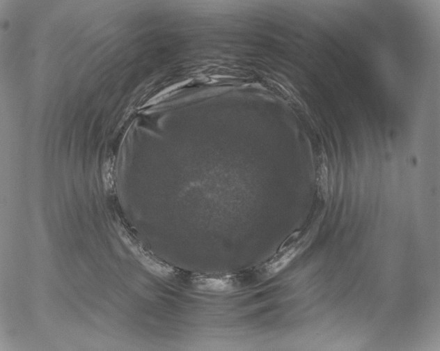 X0000053130285200508012225