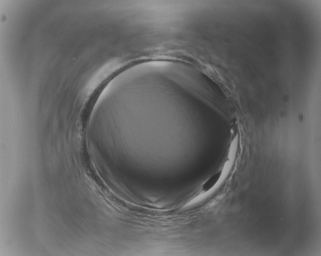 X0000053130295200508012225