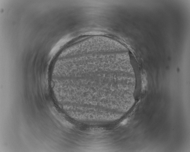 X0000053130296200508012225