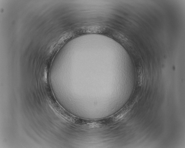 X0000053130310200508012224