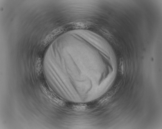 X0000053130318200508012224