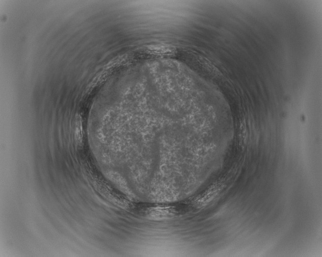 X0000053130320200508012224