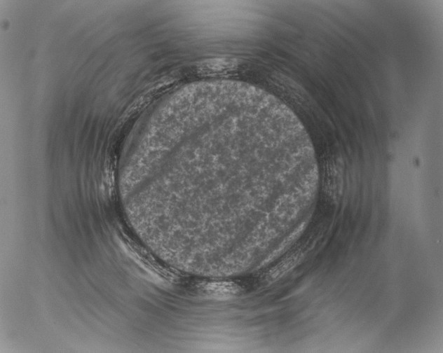 X0000053130324200508012224