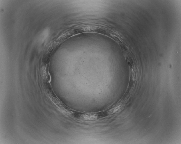 X0000053130327200508012224