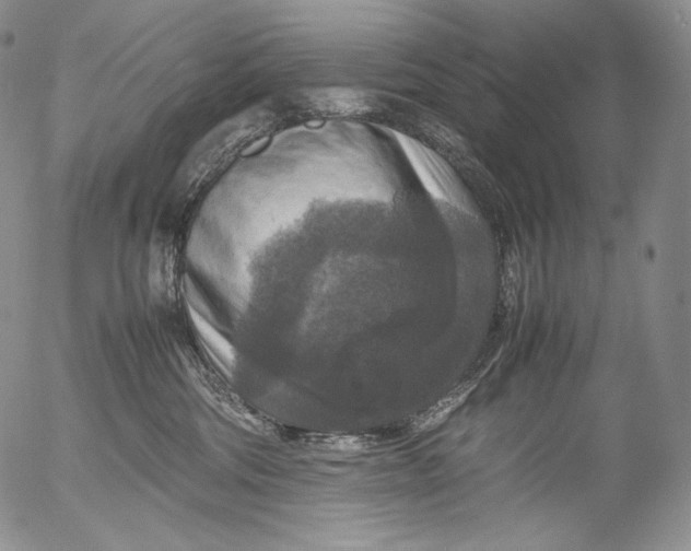 X0000053130330200508012224