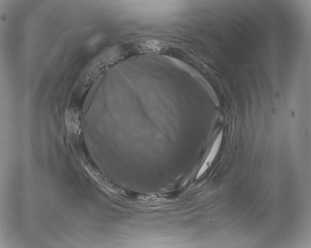 X0000053130331200508012224