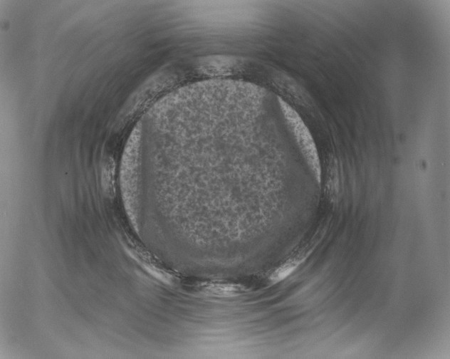 X0000053130332200508012224
