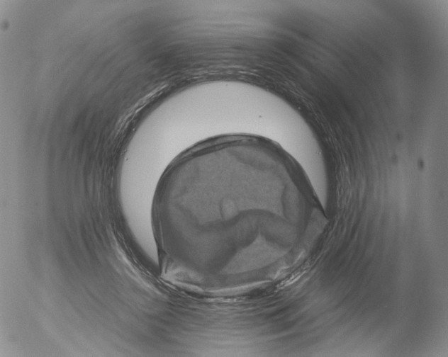 X0000053130356200508012223