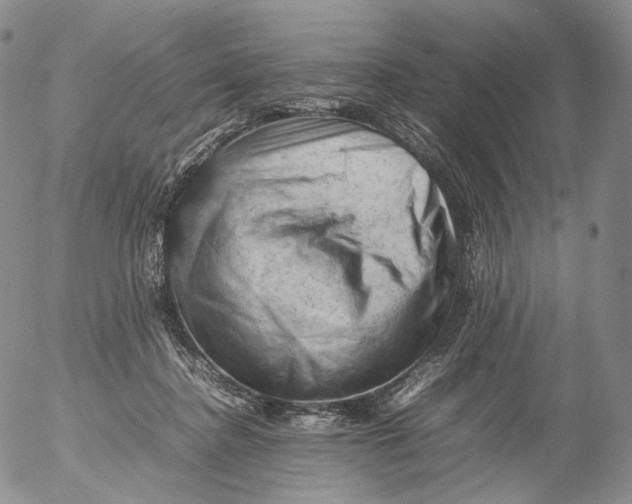 X0000053130364200508012224