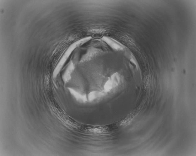 X0000053130365200508012224