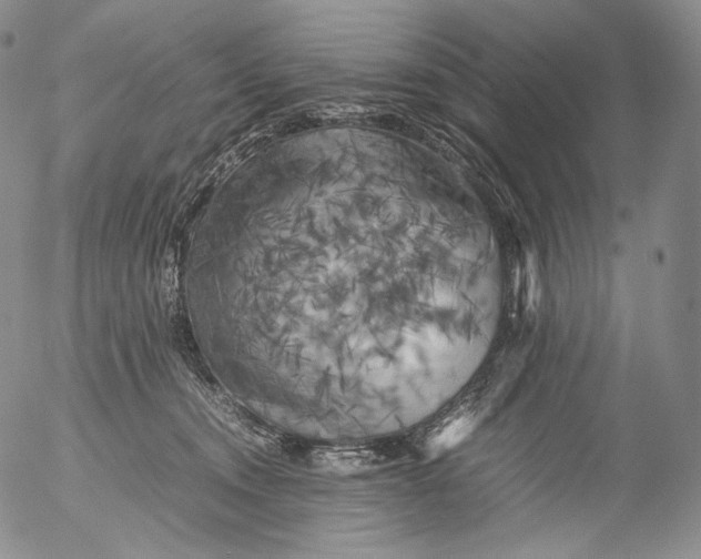 X0000053130372200508012224