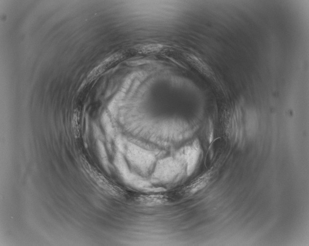 X0000053130378200508012224
