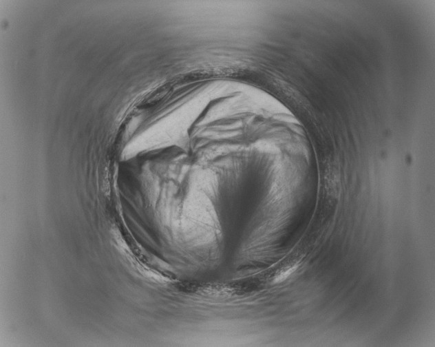 X0000053130403200508012223