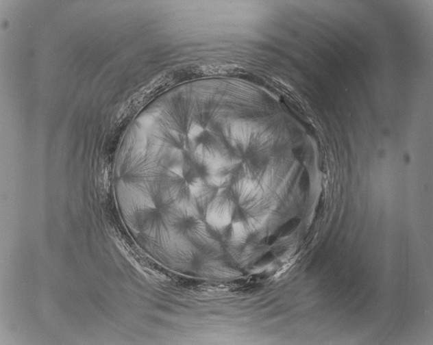 X0000053130405200508012223