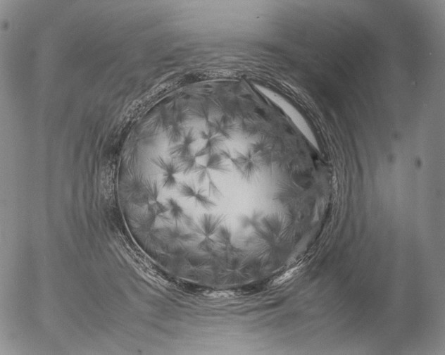 X0000053130409200508012223