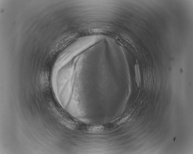 X0000053130410200508012223