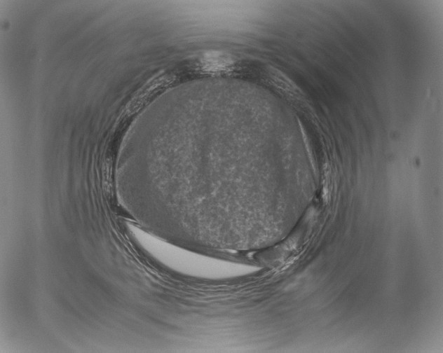 X0000053130421200508012222