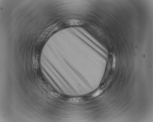 X0000053130422200508012222