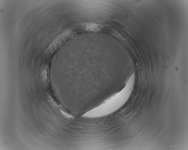 X0000053130424200508012222