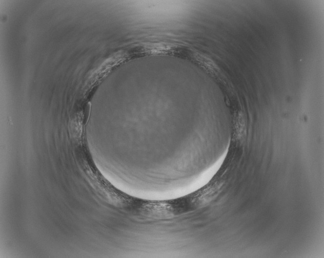 X0000053130427200508012222