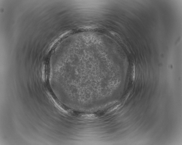 X0000053130428200508012222