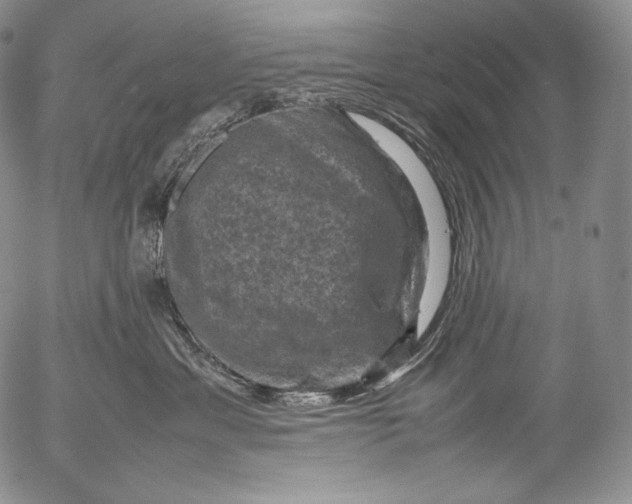 X0000053130429200508012222