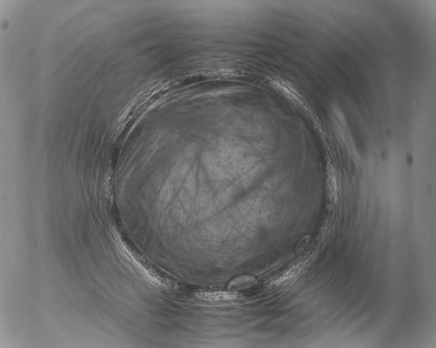 X0000053130449200508012222