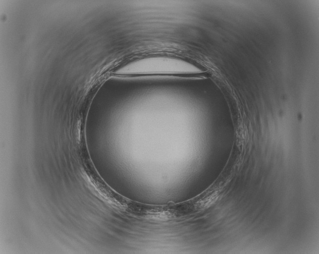 X0000053130454200508012222