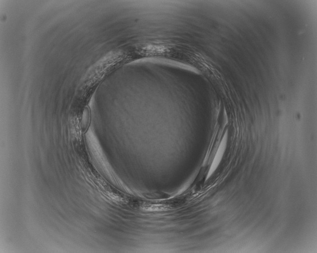 X0000053130467200508012222