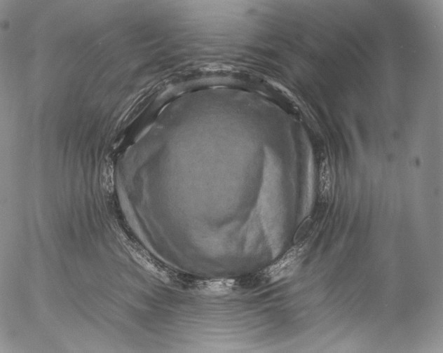X0000053130474200508012222