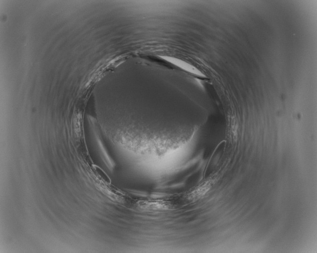 X0000053130475200508012222