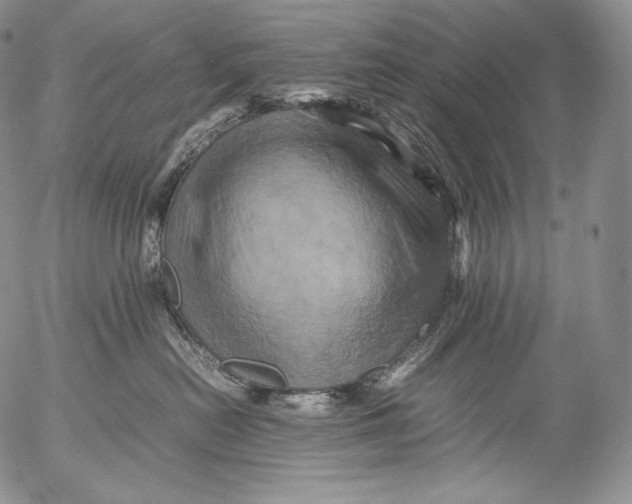 X0000053130478200508012222