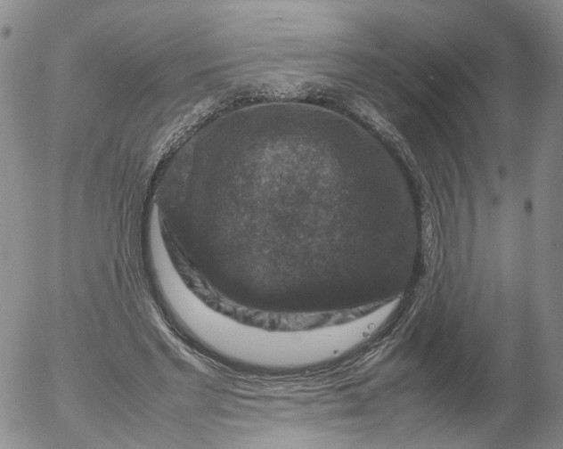 X0000053130493200508012221