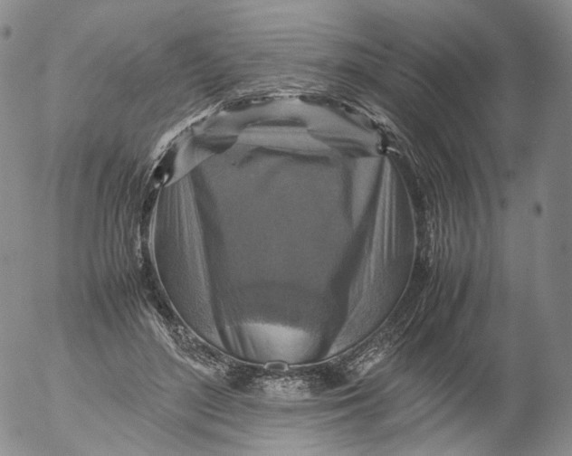 X0000053130500200508012221