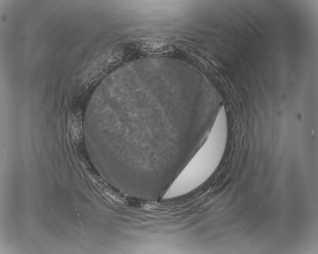 X0000053130515200508012221