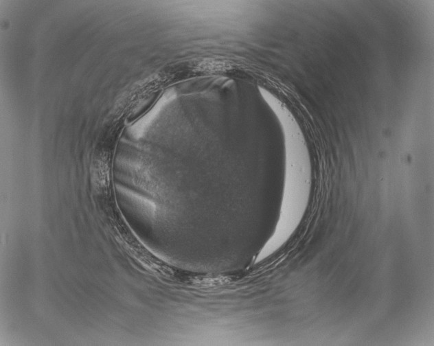 X0000053130517200508012221