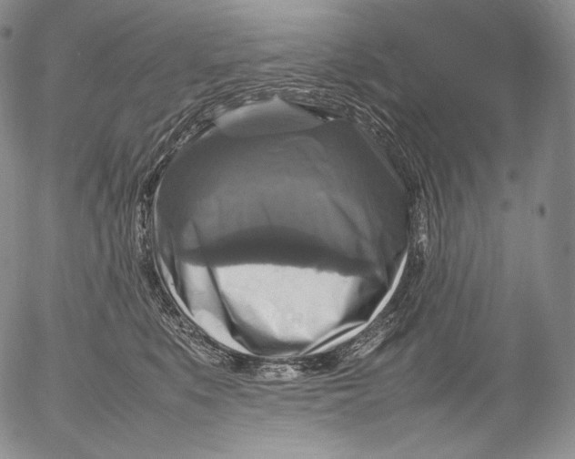 X0000053130519200508012221