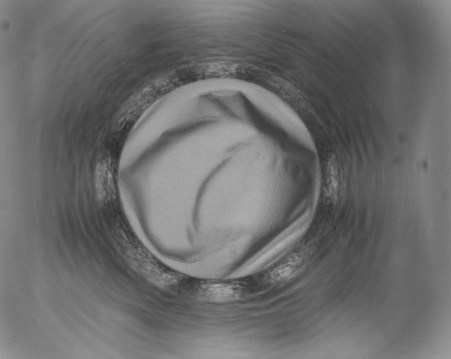 X0000053130522200508012221