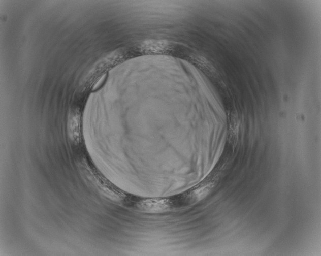 X0000053130526200508012221