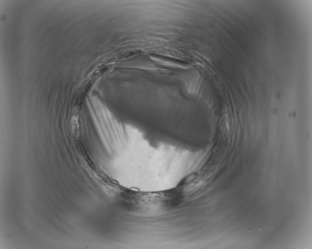 X0000053130527200508012221