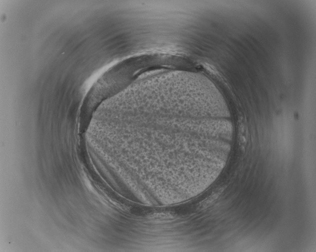 X0000053130536200508012220