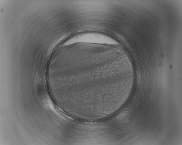 X0000053130538200508012220